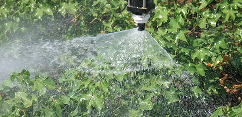 Fan Spray
