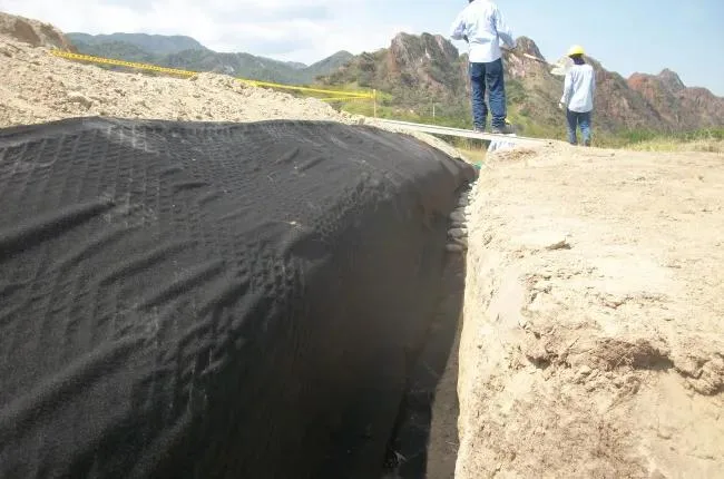 Geodrén planar