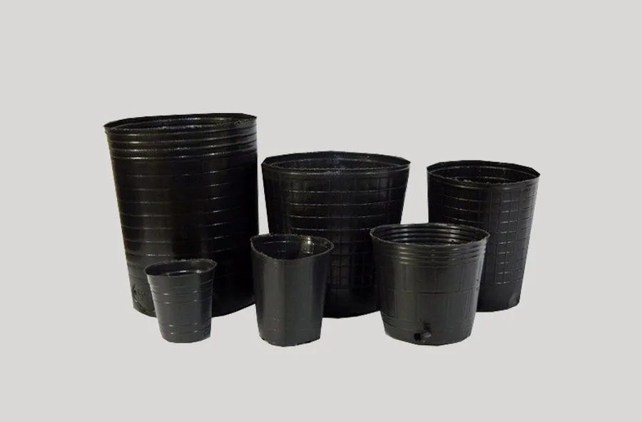 Macetas