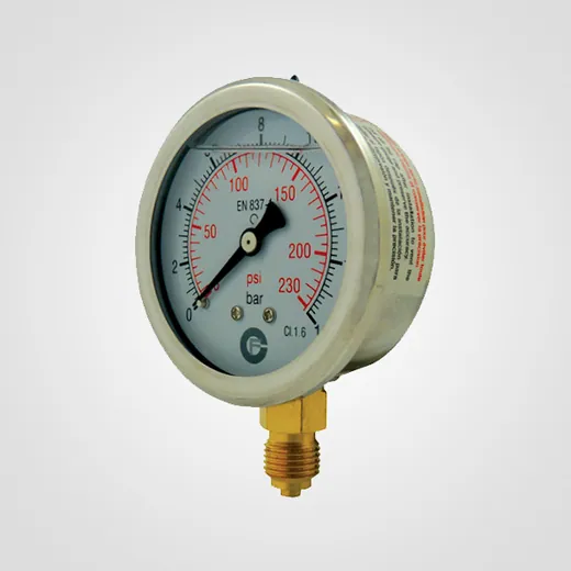 Manómetros de Inox 249